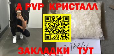 прущие грибы Обнинск