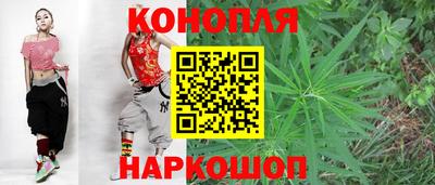 прущие грибы Обнинск