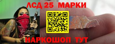 прущие грибы Обнинск