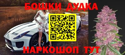 прущие грибы Обнинск