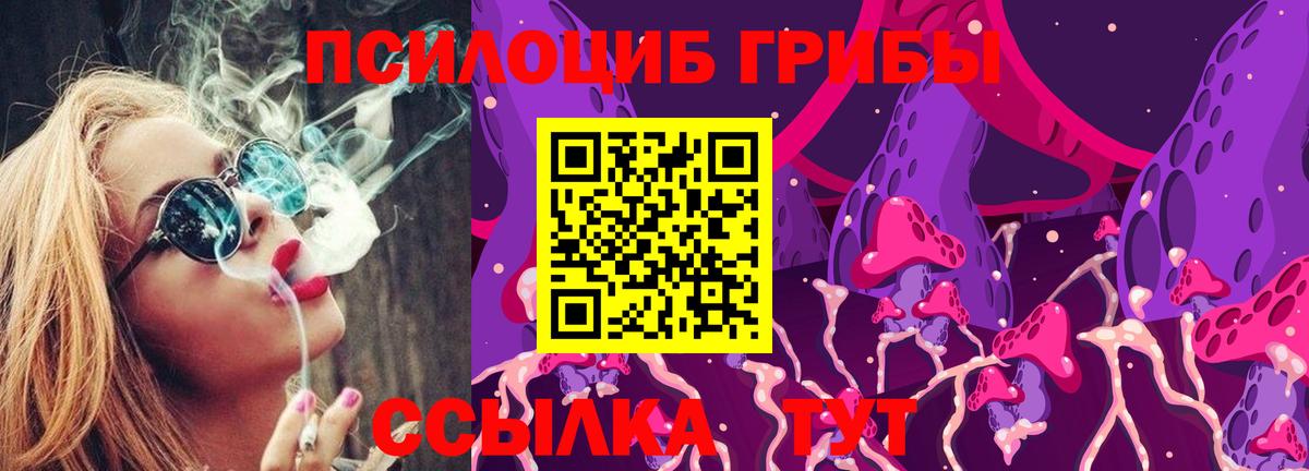 Псилоцибиновые грибы GOLDEN TEACHER Соль-Илецк